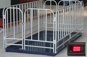 Cân Động Vật Điện Tử